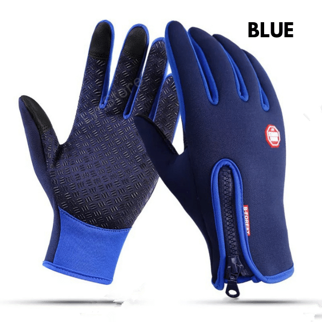 Winter Gloves Touch